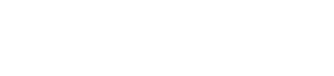 Trident Medical